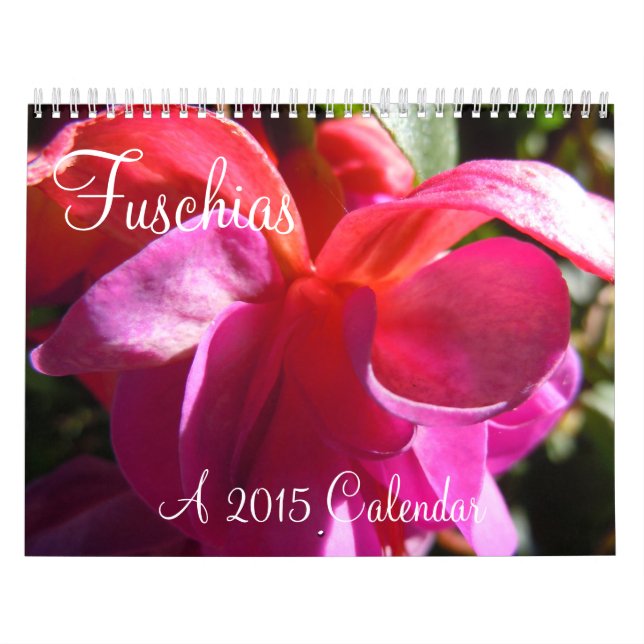 Calendrier Fuschias 2015 II (Protection)