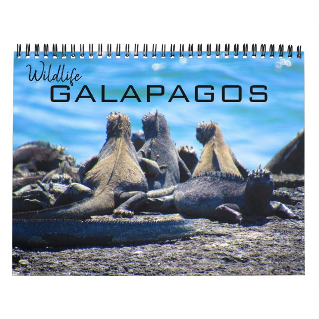 Calendrier galapagos animaux 2025 (Protection)