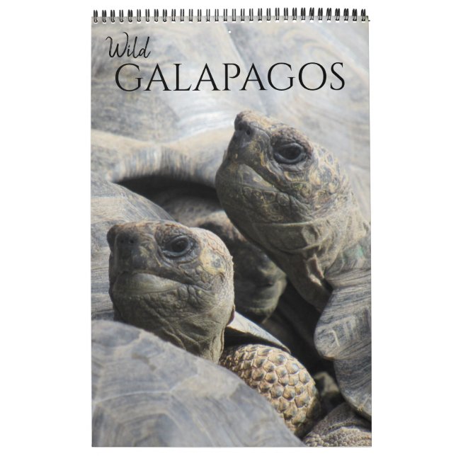 Calendrier galapagos sauvages 2025 (Protection)