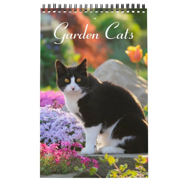Calendrier Garden Cats - petite taille (Protection)