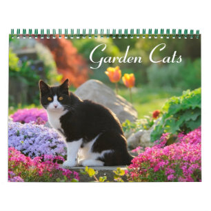 Calendrier Garden Cats - taille moyenne