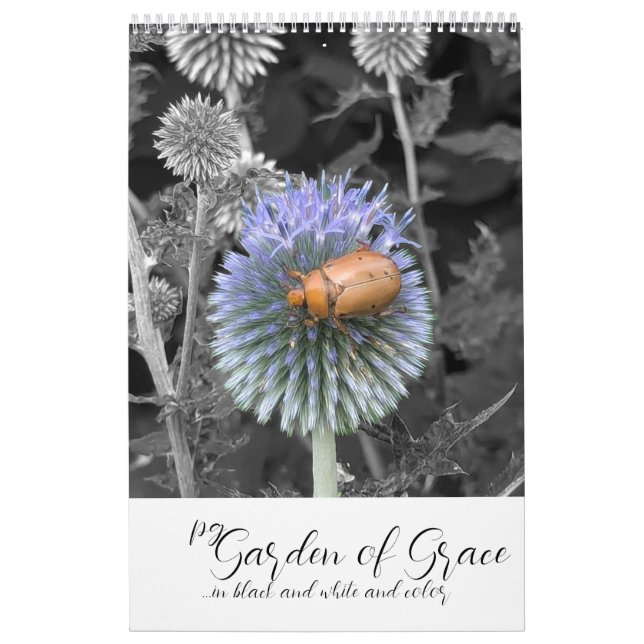 Calendrier Garden of Grace: In Black & White & Color Calendar (Protection)