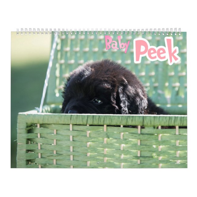 Calendrier GCH Notta Bears piqué mon intérêt (Protection)