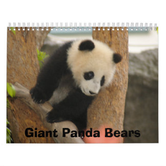 Calendrier géant d'ours panda, ours panda géants