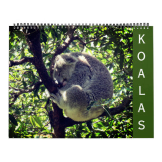 calendrier général koalas 2025