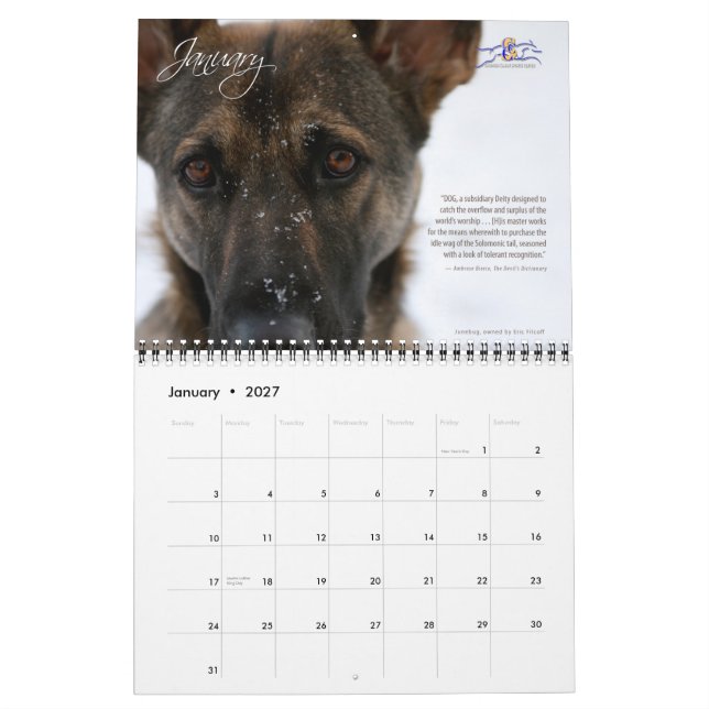 Calendrier générique de 2010 chiens de sports (Jan 2027)