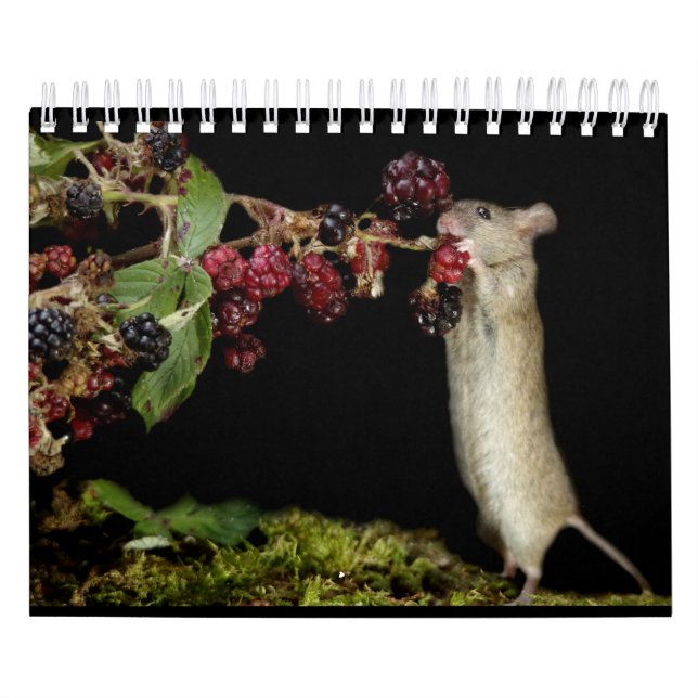 Calendrier George la souris avec des arrière - plans noirs (Protection)