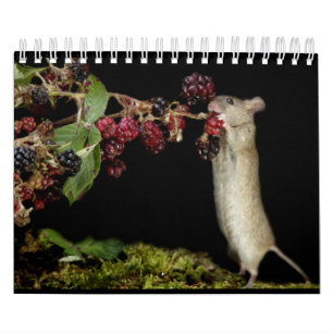 Calendrier George la souris avec des arrière - plans noirs