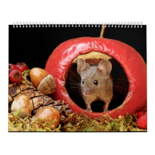 Calendrier George la souris dans une pile de logis 2022 calen