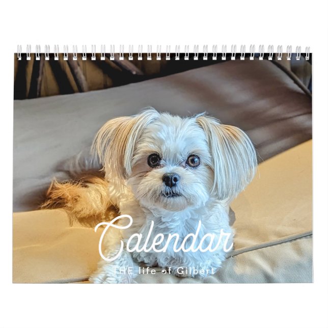 Calendrier Gilbert 2025 (Protection)