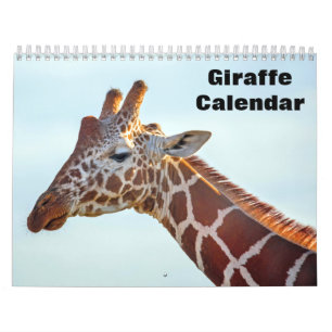 Calendrier Girafe 2027