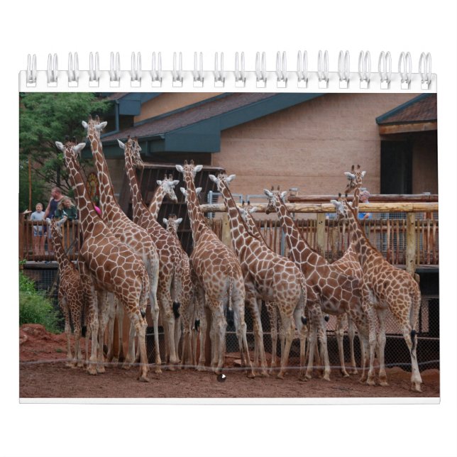 Calendrier Giraffe 2022 5,5 po x 7 po (Protection)