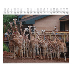 Calendrier Giraffe 2022 5,5 po x 7 po