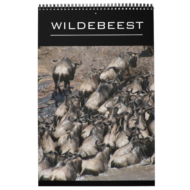 Calendrier gnou (Protection)