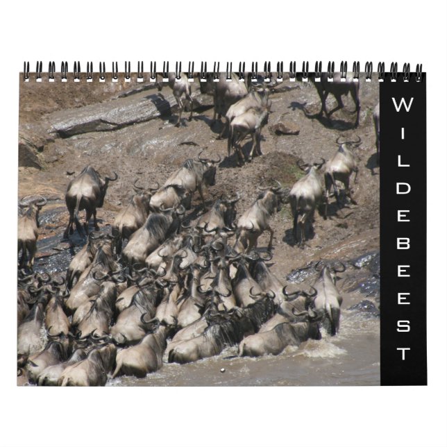Calendrier gnous 2026 (Protection)