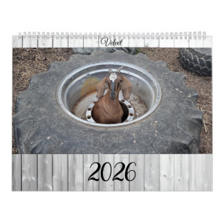 Calendrier Goats of 2026 calendar