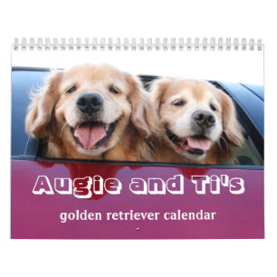 Calendrier Golden retriever 2017 d'Augie et de Ti