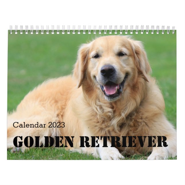 Calendrier Golden Retriever 2023 (Protection)