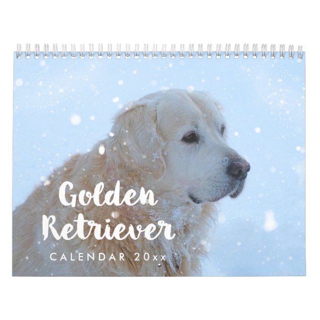 Calendrier Golden Retriever 2026 mensuel (Protection)