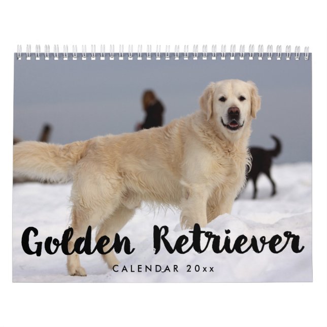 Calendrier Golden Retriever Calendar 2023 Ajouter Vos Photos (Protection)