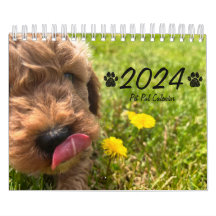 Calendrier Goldendoodle Puppy 2024