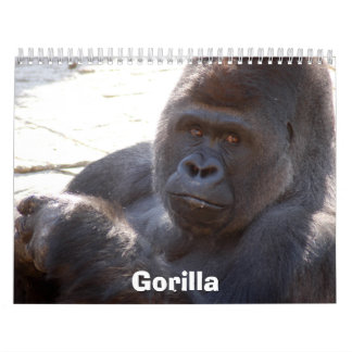 Calendrier Gorilla_004, gorille