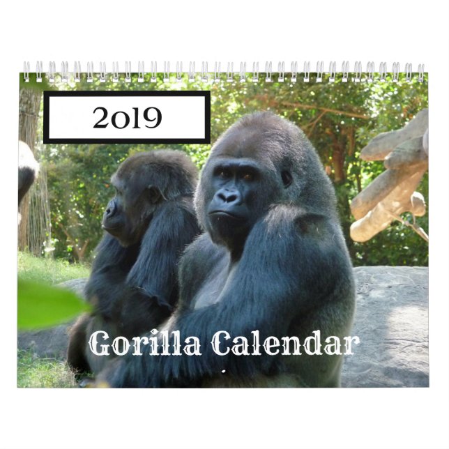 Calendrier Gorilla 2019 (Protection)