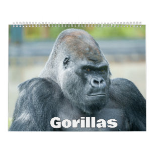 Calendrier Gorilla 2026