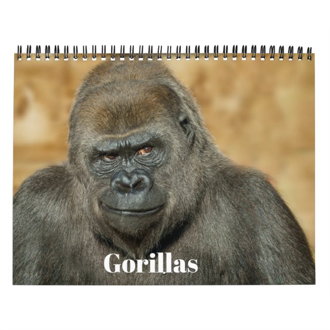 Calendrier Gorilla 2026 (Protection)
