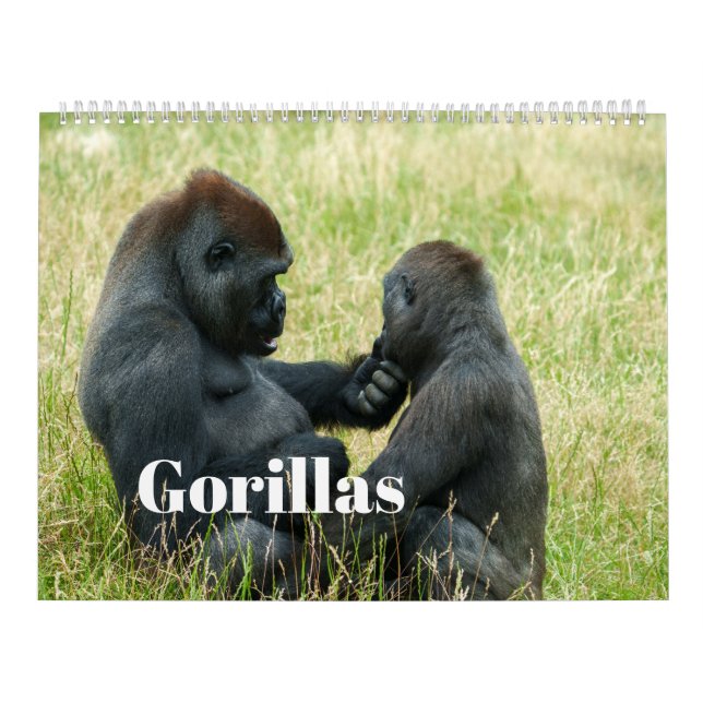Calendrier Gorille 2027 (Protection)