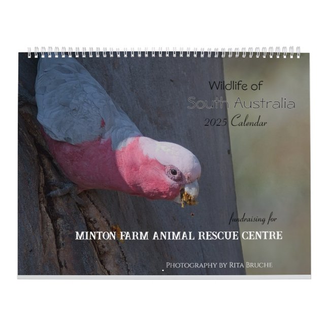 Calendrier grand calender 24 (Protection)