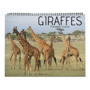 calendrier grand format safari girafe 2027