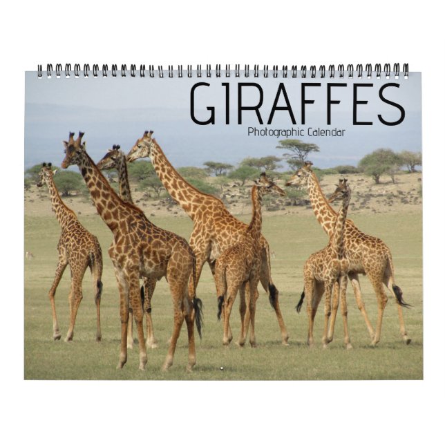 calendrier grand format safari girafe 2027 (Protection)