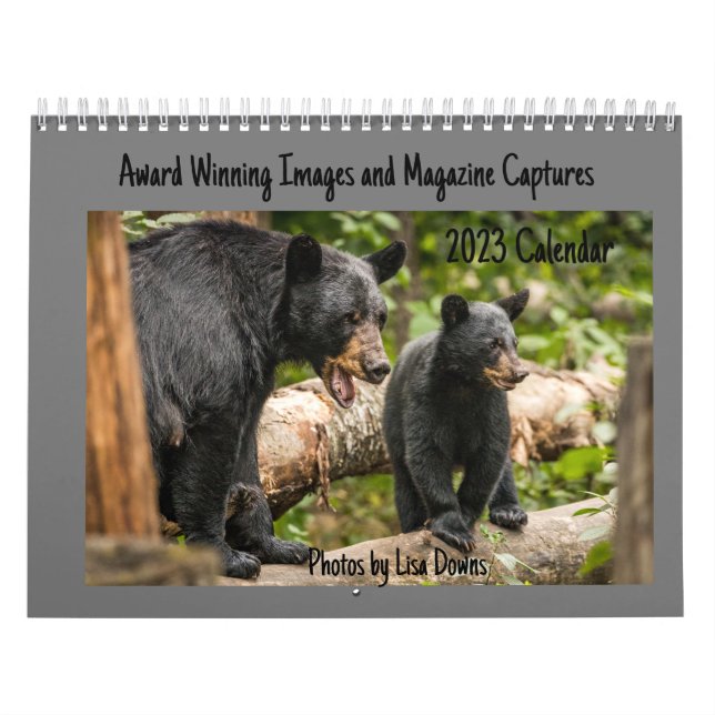 Calendrier GrandCalendrier de deux pages, blanc (Protection)