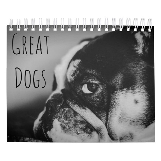 Calendrier Grands chiens en noir et blanc (Protection)