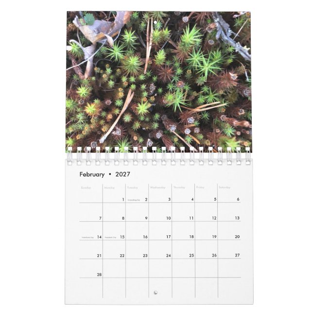 Calendrier Graphic photo calendar (Feb 2027)