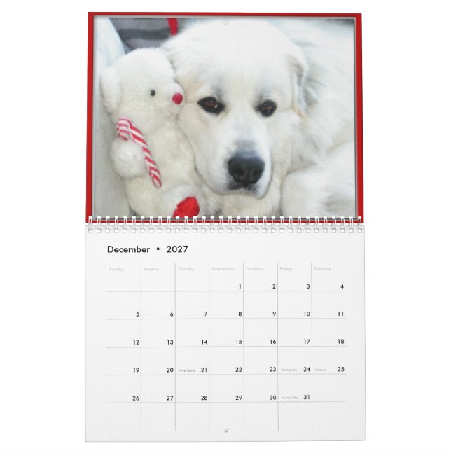 Calendrier Great Pyrenees Calendar (Dec 2027)