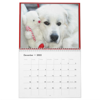 Calendrier Great Pyrenees Calendar