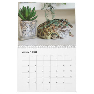 Calendrier Grenouille Pacman Blobbi