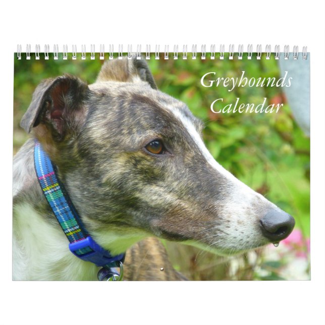 Calendrier Greyhound (Protection)