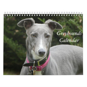 Calendrier Greyhound