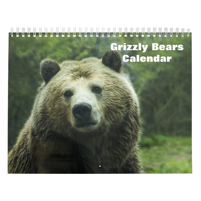 Calendrier Grizzly Bears 2025 (Protection)