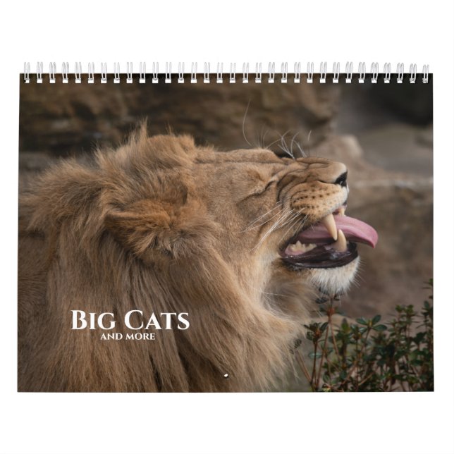 Calendrier Gros Chats 2026 Et Plus (Protection)