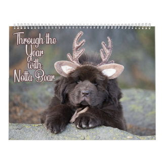 Calendrier GrosCalendrier De Deux Pages Notta Ours Tout Au Lo
