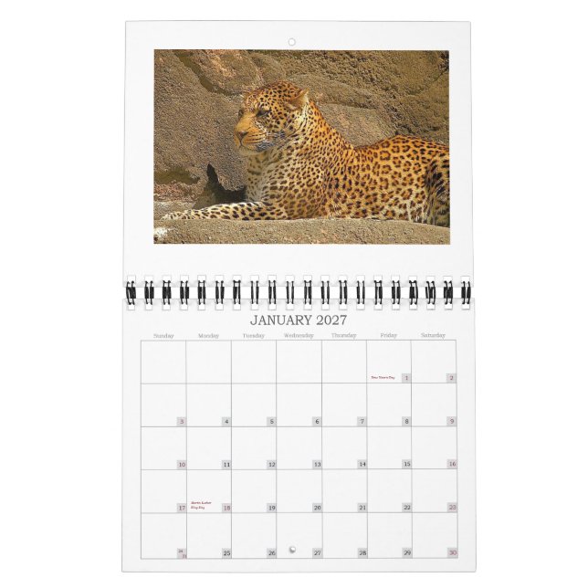 Calendrier guépards, NORPHLET, LEOPARDS (Jan 2027)