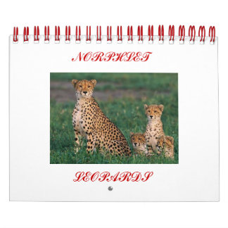 Calendrier guépards, NORPHLET, LEOPARDS