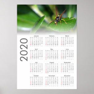 Calendrier Guêpe 2020 Affiche