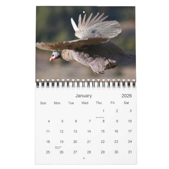 Calendrier Guinée Fowl pour 2012 (Jan 2026)