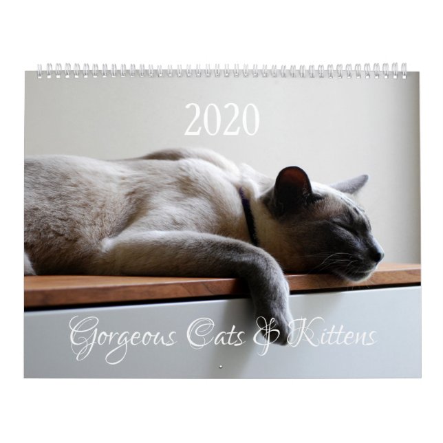 Calendrier HAMbyWG - 2020 Gorgeous Cats (Protection)