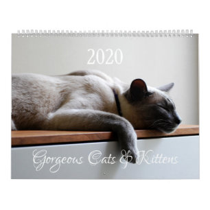 Calendrier HAMbyWG - 2020 Magnifiques Chats